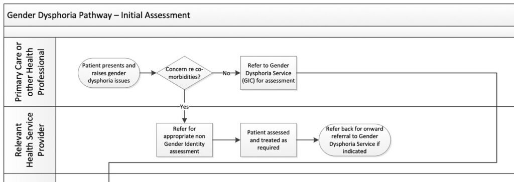 English gender referral model detail